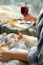 Woman with cute little kitten and glass of delicious mulled wine resting at home Royalty Free Stock Photo