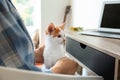 Woman with cute little kitten resting at home Royalty Free Stock Photo