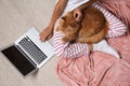 Woman with cute red cat and laptop on light carpet Royalty Free Stock Photo