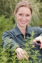 woman cuts branch tree with pruning scissors