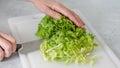 Woman cuts lettuce on cutting board on kitchen table. Close-up of Crisp fresh organic leaves