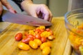 A woman cuts small colorful plum tomatoes on a cutting board. Cooking.