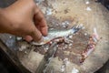 A woman is cutting the belly the fish and taking away the intestines,  Which may have parasites in it, than washing by clean water Royalty Free Stock Photo