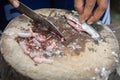 A woman is cutting the belly the fish and taking away the intestines,  Which may have parasites in it, than washing by clean water Royalty Free Stock Photo