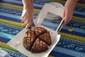 Woman cutting Chocolate Cake in Slices Royalty Free Stock Photo