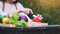 A woman cutting and chopping red bell pepers by knife on wooden board with mixed vegetables in a tray Royalty Free Stock Photo