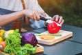 A woman cutting and chopping red bell pepers by knife on wooden board with mixed vegetables in a tray Royalty Free Stock Photo