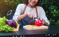 A woman cutting and chopping red bell pepers by knife on wooden board with mixed vegetables in a tray Royalty Free Stock Photo