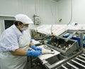 Woman cutting fish fillets Royalty Free Stock Photo