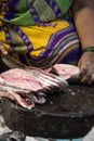 Woman cutting fish outdoor in Mumbai, India