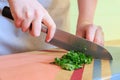 Woman cutting fresh parsley with a big knife on colorful wooden board