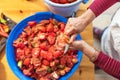 Woman cutting large amount of tomatoes for prepare tomato sauce. Preparation of tomatoes for cooking.