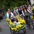 Woman Cycling With Dogs - RideLondon Cycling Event, London 2015 Royalty Free Stock Photo