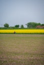Woman cycling in high speed on rural road next to farm field and yellow canola rapeseed during spring in SkÃ¥ne Sweden