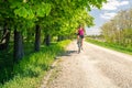 Woman cycling a mountain bike in city park, summer day Royalty Free Stock Photo