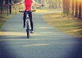Cyclist riding bike in tropical park Royalty Free Stock Photo