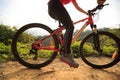 Woman cyclist riding mountain bike on forest trail Royalty Free Stock Photo