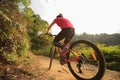 Woman cyclist riding mountain bike on forest trail Royalty Free Stock Photo