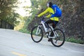 Woman cyclist riding mountain bike on forest trail Royalty Free Stock Photo