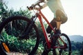 cyclist riding mountain bike on rocky trail Royalty Free Stock Photo