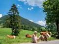 Woman with dairy cows on a mountain pasture in the Alps