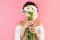 close up of woman holding bouquet of chamomile flowers on pink background. Royalty Free Stock Photo