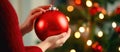 Woman Decorating Christmas Tree with Red Ornament.