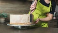 woman decorating a delicious layered sponge cake with chocolate icing cream