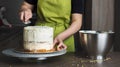 Woman decorating a delicious layered sponge cake with icing cream Royalty Free Stock Photo