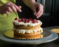 Woman decorating a delicious sponge cake with icing cream and raspberries Royalty Free Stock Photo