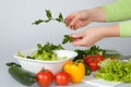 Woman decorating salad Royalty Free Stock Photo