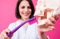 Woman dentist brushing teeth of an artificial skull using a large toothbrush