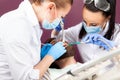 Woman dentist doctor makes teeth check up for patient men Royalty Free Stock Photo