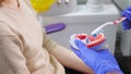 Woman dentist showing to patient on a jaw model how to clean the teeth with toothbrush properly. Royalty Free Stock Photo