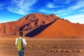 Woman in desert. Orange, purple and yellow dunes