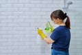 Woman with detergent spray washcloth cleaning bathroom Royalty Free Stock Photo