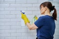 Woman with detergent spray washcloth cleaning bathroom Royalty Free Stock Photo