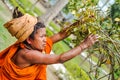 Woman in Dibrugarh in Assam Royalty Free Stock Photo