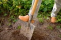 Woman dig shoveling in her backyard Royalty Free Stock Photo