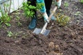 Woman digging the ground with a shovel on a close-up