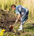 A woman digs a garden with a shovel