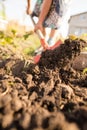 A woman digs a garden with a shovel