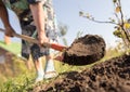A woman digs a garden with a shovel