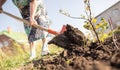 A woman digs a garden with a shovel