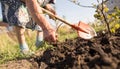 A woman digs a garden with a shovel
