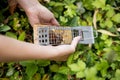 Woman discage a mouse in a live capture mousetrap to the garden