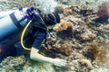 Woman diver at tropical coral reef scuba diving in tropical ocean