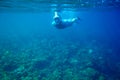 Woman dives in coral reef. Girl snorkeling in full-face mask. Snorkel person underwater photo. Snorkeling mask undersea Royalty Free Stock Photo