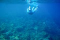 Woman dives in coral reef. Girl snorkeling in full-face mask. Snorkel person underwater photo Royalty Free Stock Photo