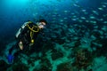 woman diving with a school of surgeon fish and fusilier Royalty Free Stock Photo